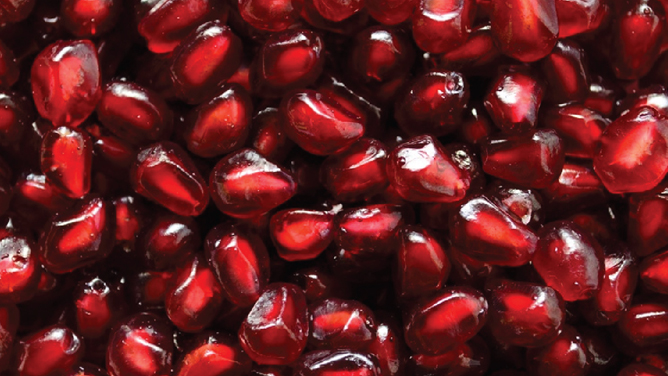Pomegranate Pomegranate