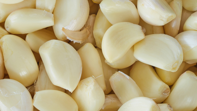 Garlic Garlic