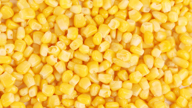 Sweet Corn